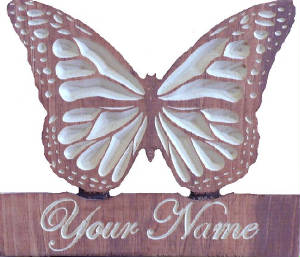 Butterfly.jpg